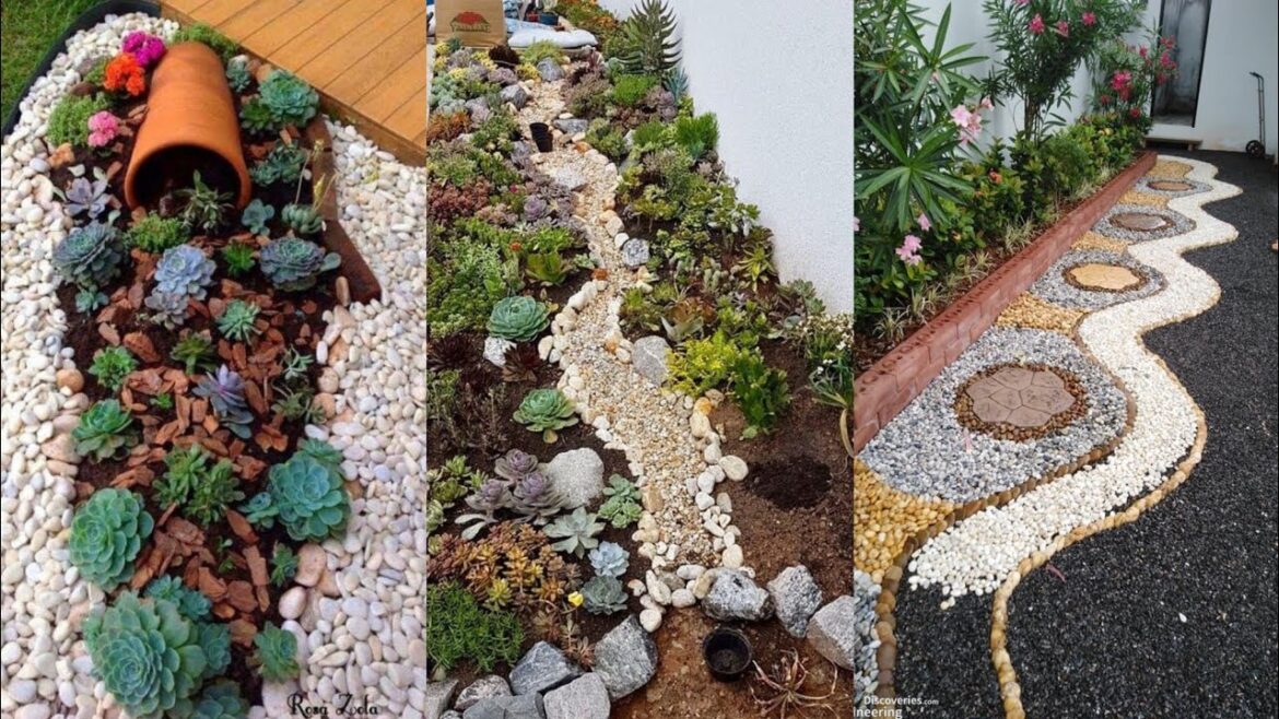 Small Succulent Plant Garden Landscaping Ideas 2024|Rock Landscaping Ideas For Backyard / Front Yard