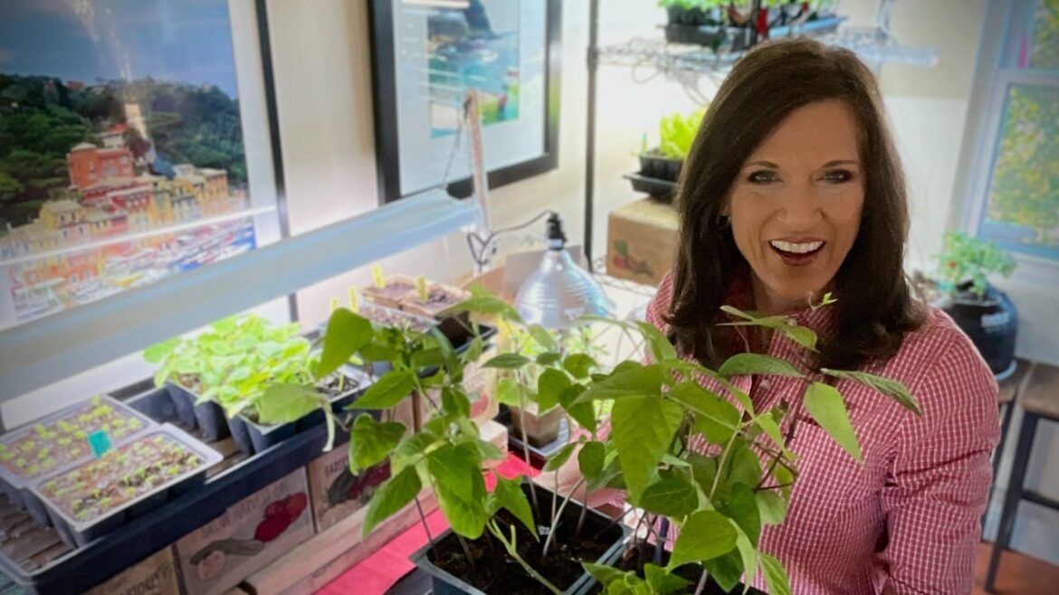🍅LIVE:  Avoid Disaster: Top 5 Grow Light Mistakes in Indoor Seed Starting