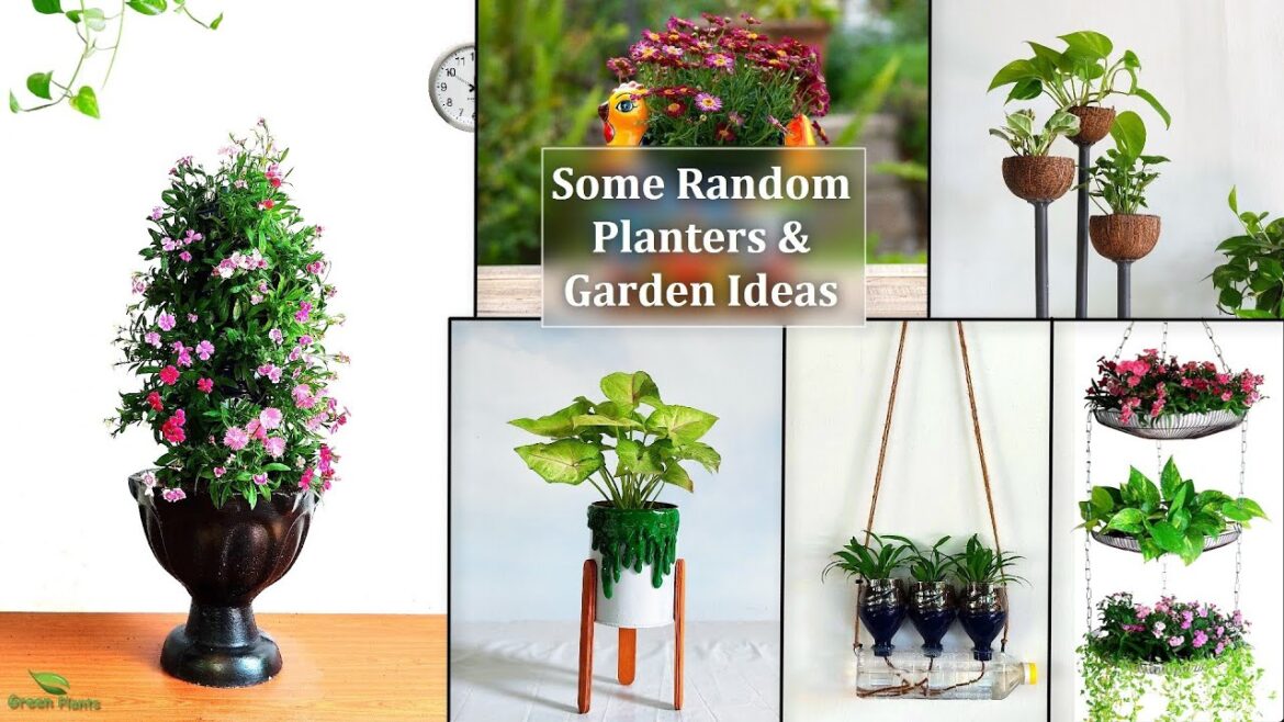 5 of My Cool & Unique Garden and Plants ideas For Your Tiny Space//GREEN PALNTS