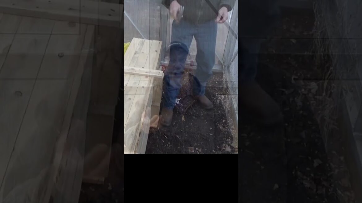 Garden tips, Turning a crate into raised beds Garden tips, Turning a crate into raised beds