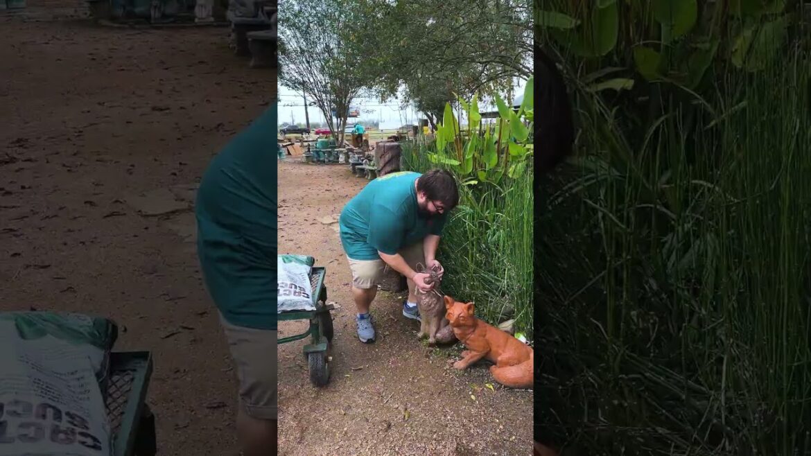 Foxes In Japanese Culture (Kistune) #gardening #bonsai Foxes In Japanese Culture (Kistune) #gardening #bonsai