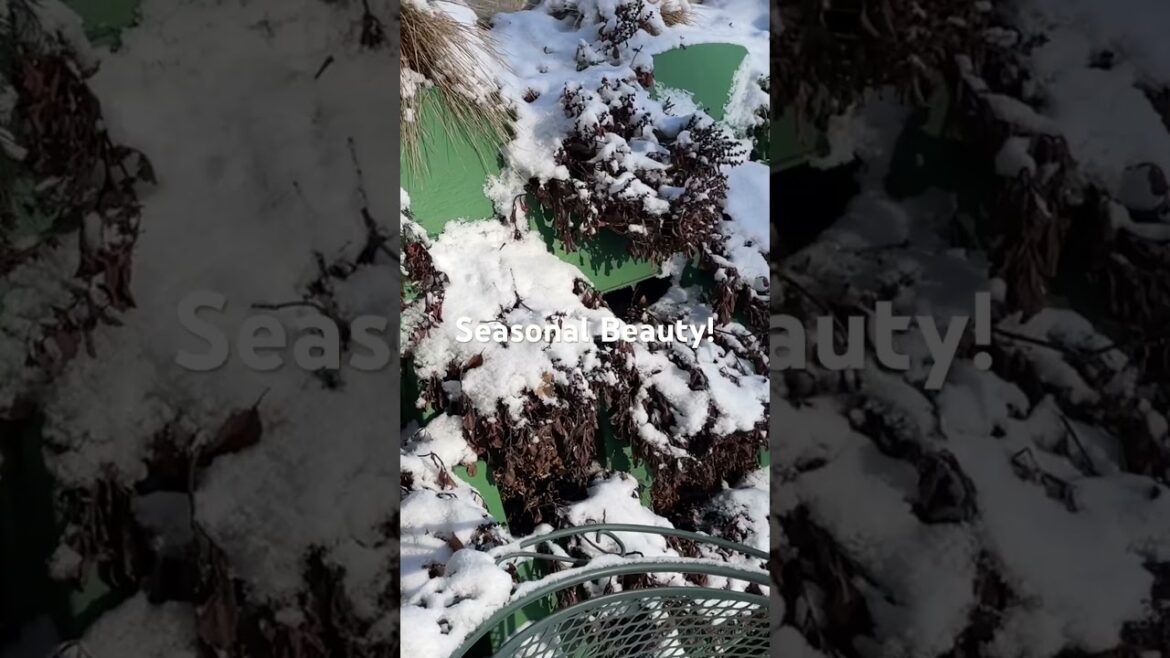 Living retaining walls in winter #retainingwall #gardendesign #verticalgarden Living retaining walls in winter #retainingwall #gardendesign #verticalgarden