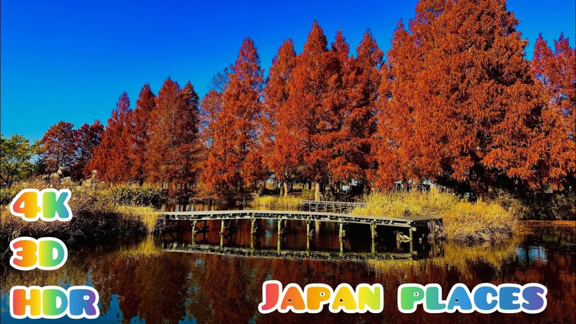 4K HDRJapan Walk - Beautiful Japanese Garden in Saitama(Kazo shi ) | Saitama-Shi Winter #vlog