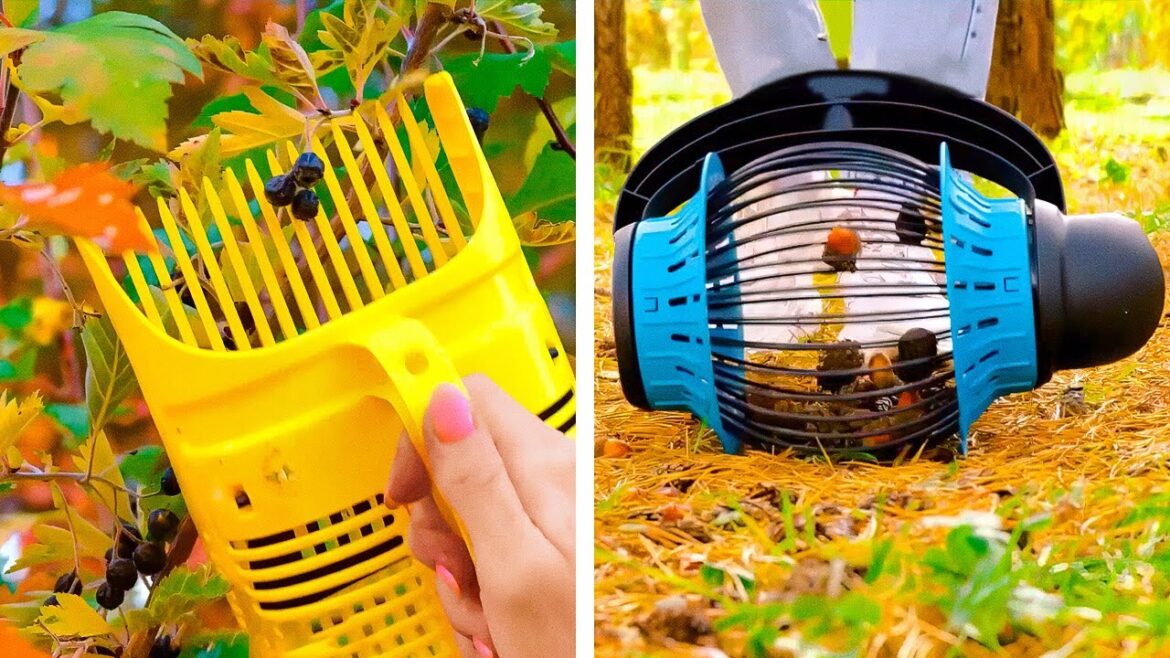 Extremely Useful Gadgets For Your Home And Garden Extremely Useful Gadgets For Your Home And Garden