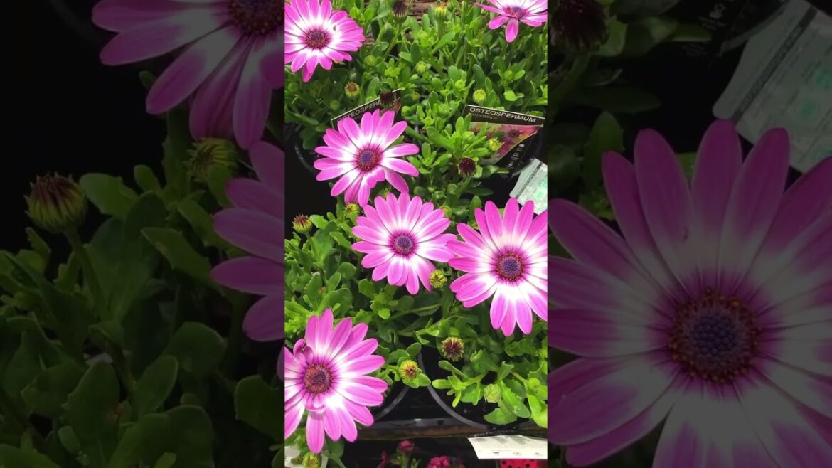 Reasons Why You Should Choose UsπΌπ±π Reasons Why You Should Choose UsπΌπ±π