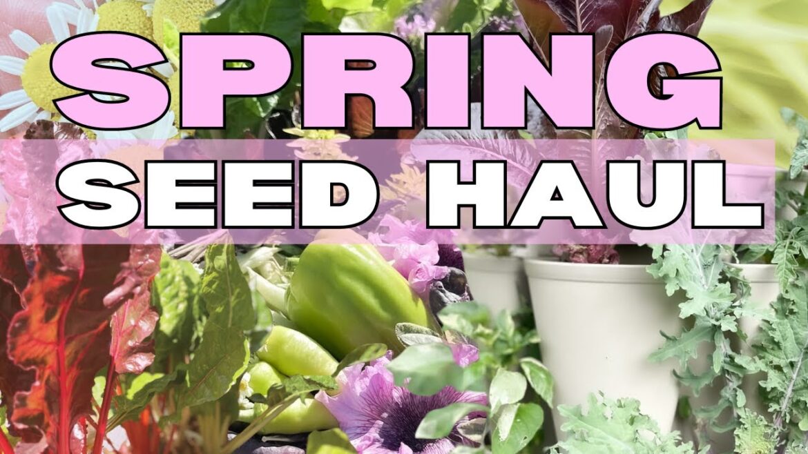 Monumental SEED HAUL Magic - Suburban Homestead Oasis