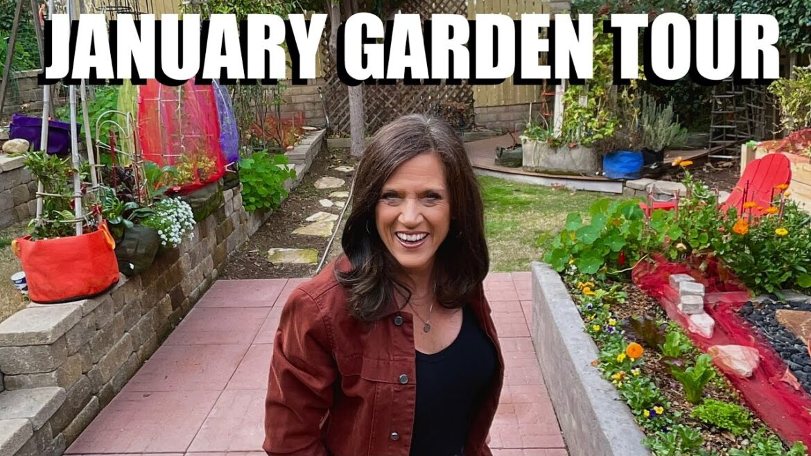 January Garden Tour & Winter Garden Tips + Greens Galore!