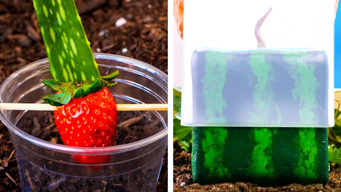 Proven Gardening Hacks That Really Work