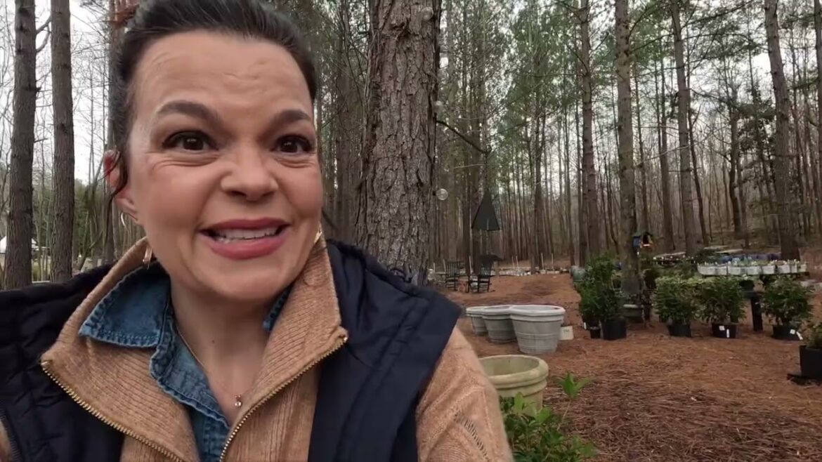 Sprucing up Our Front Porch: Evergreen Winter Containers