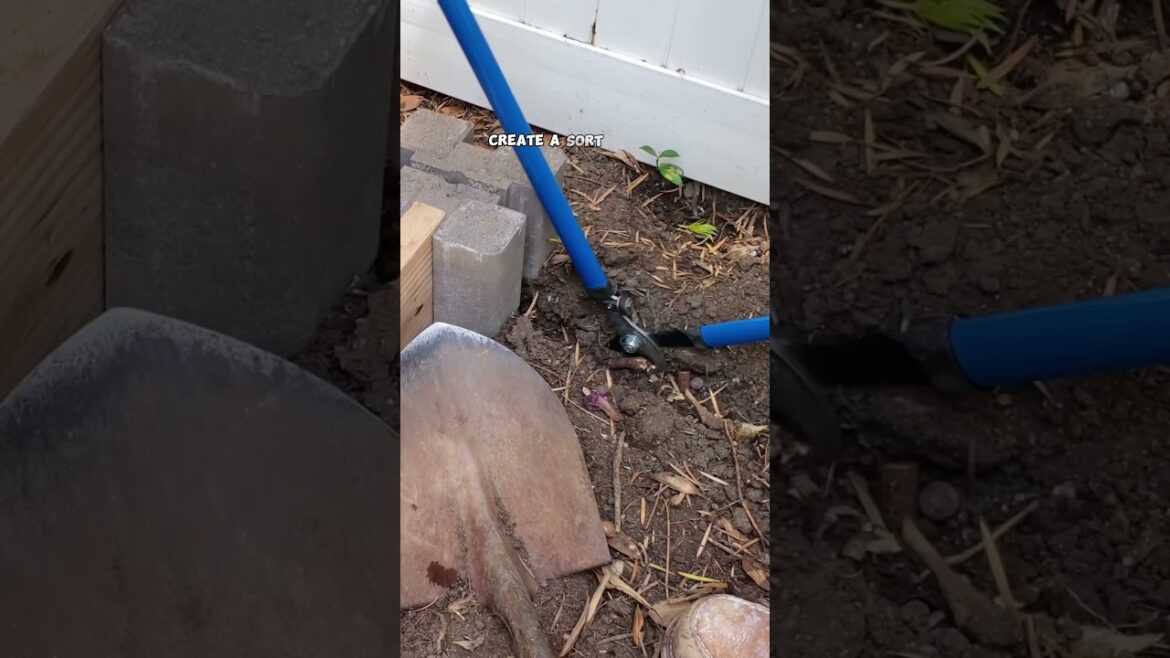 DIY Cheap & Easy Raised Garden Bed! 🛠️🌿 #Shorts