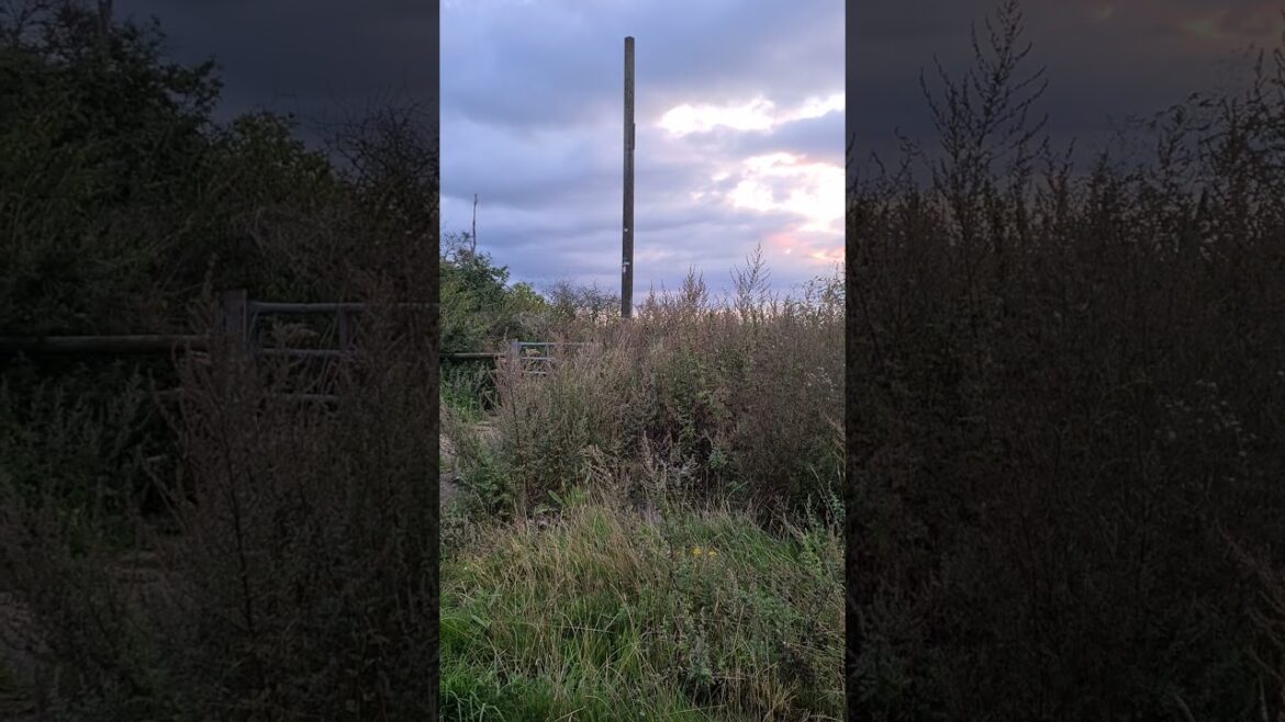 Veggie Gardener’s morning start 25th August 2023 06.12 @veggiegardener Veggie Gardener's morning start 25th August 2023 06.12 @veggiegardener