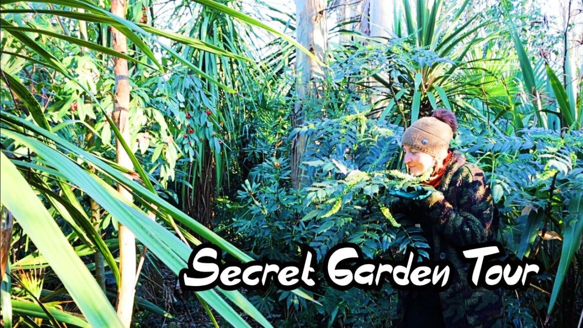 How Our Gardens REALLY Look in Mid Winter – Permaculture Gardens and Evergreen Oasis How Our Gardens REALLY Look in Mid Winter - Permaculture Gardens and Evergreen Oasis