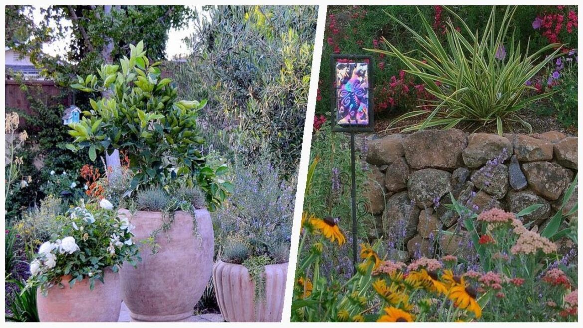 75 Mediterranean Full Sun Landscaping Design Ideas You’ll Love ➤ 75 Mediterranean Full Sun Landscaping Design Ideas You'll Love ➤