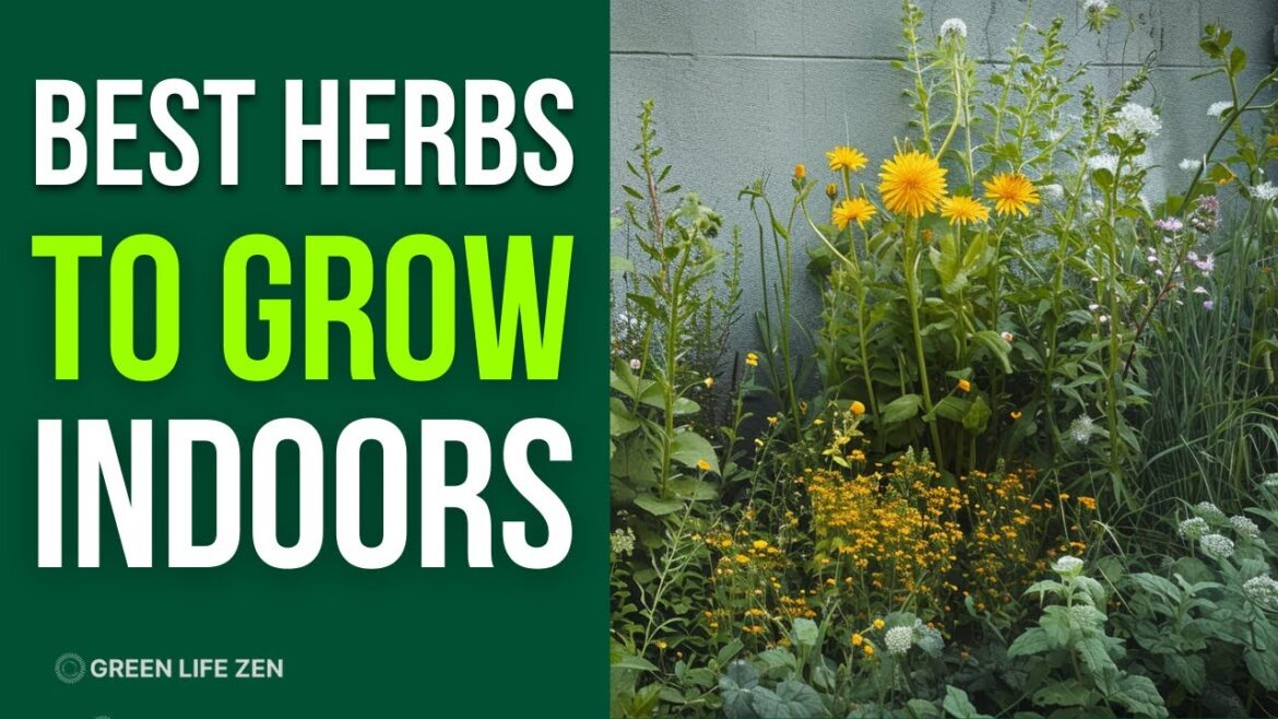 Get Your Indoor Gardening Game On Point With These Amazing Herbs Get Your Indoor Gardening Game On Point With These Amazing Herbs