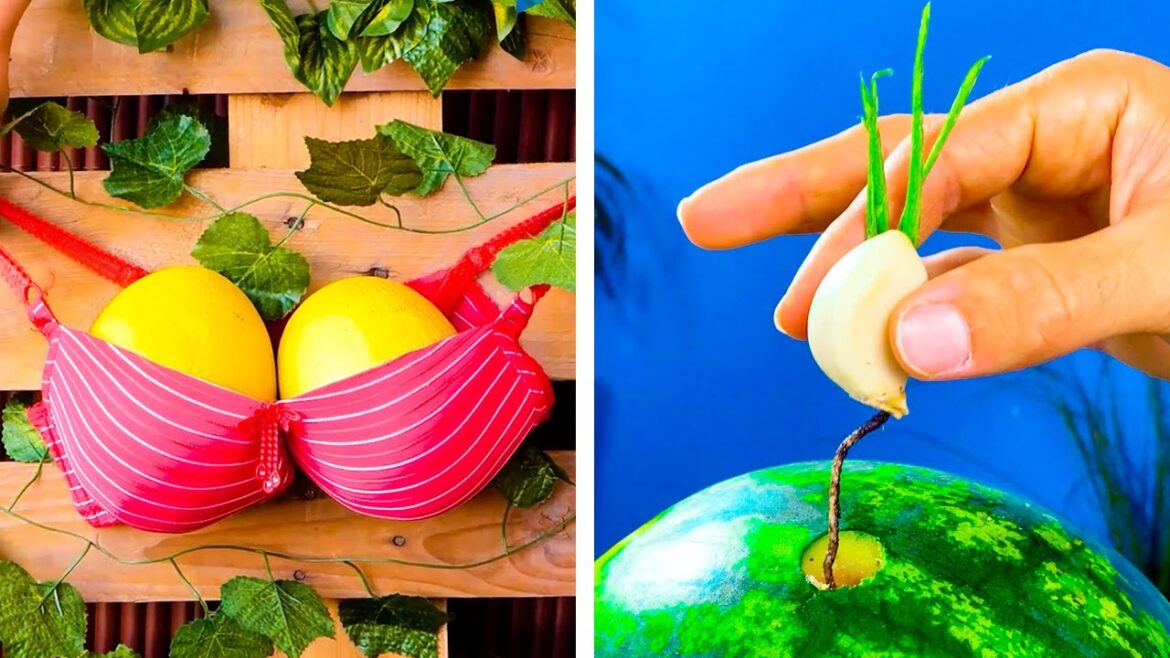 Amazing Hacks for Your Inner Gardener to Grow Plants Amazing Hacks for Your Inner Gardener to Grow Plants