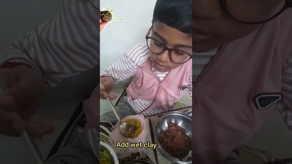 diy seed bombs/ how to make seed balls/Guerrilla gardening