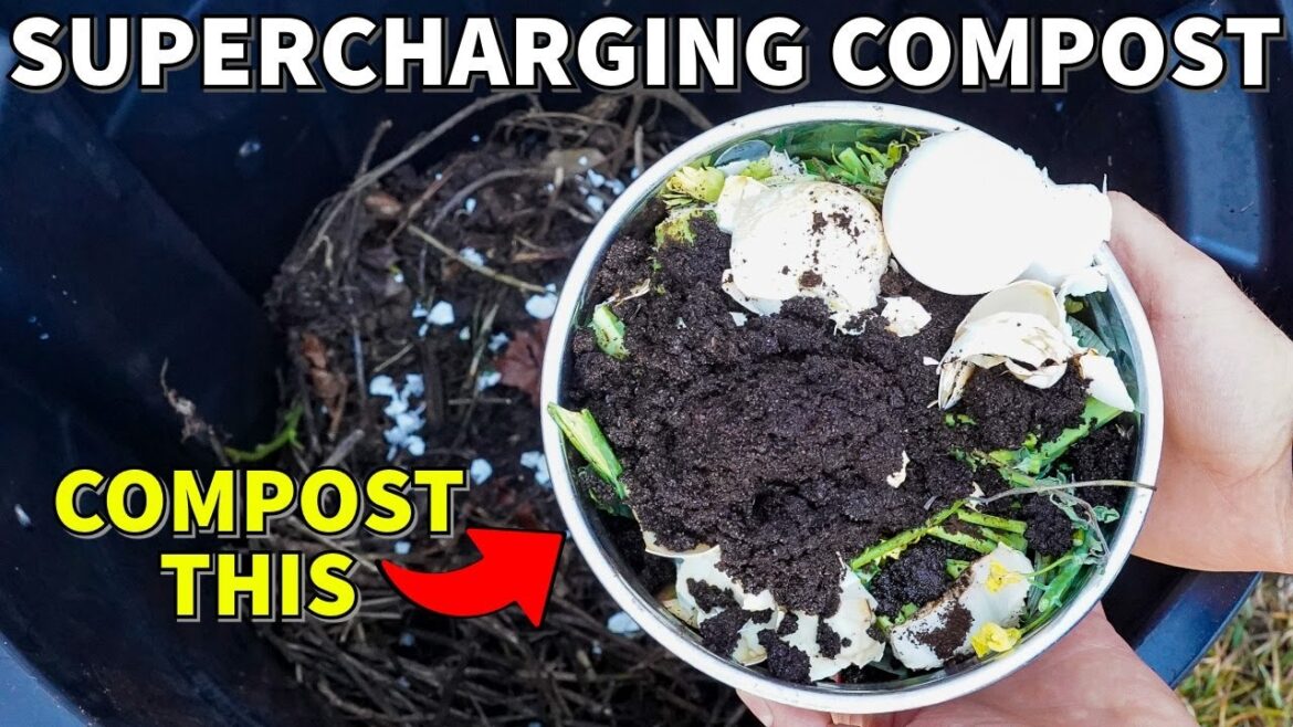 These Are My Favorite KITCHEN SCRAPS To Compost!