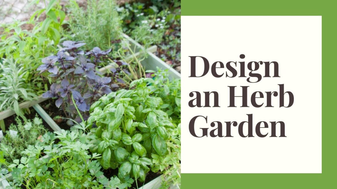 Herb Garden Design: Some Thoughts On Finding A Location