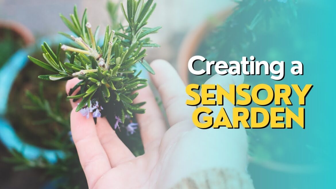 Creating a Sensory Garden Creating a Sensory Garden