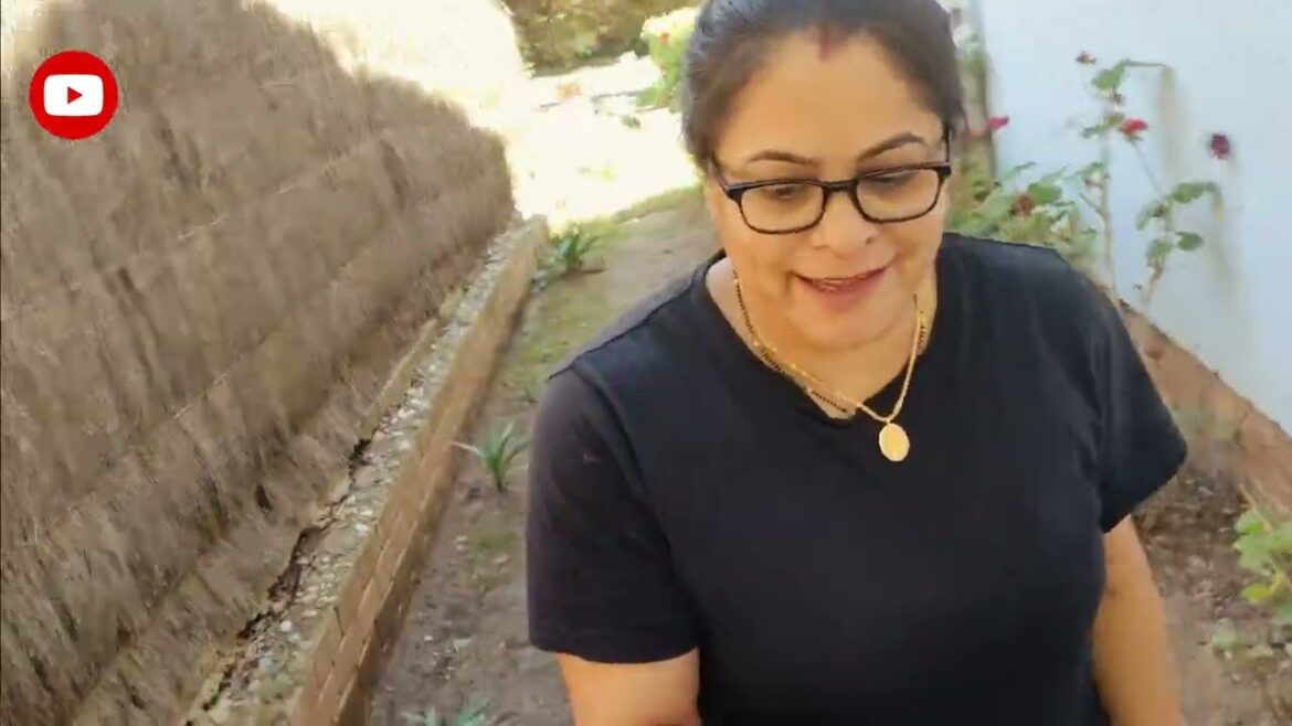 Australia ka garden tour, 🥰 (ऑस्ट्रेलिया में मेरे घर के गार्डन में देखो कौन कौन से फल है Australia ka garden tour, 🥰 (ऑस्ट्रेलिया में मेरे घर के गार्डन में देखो कौन कौन से फल है