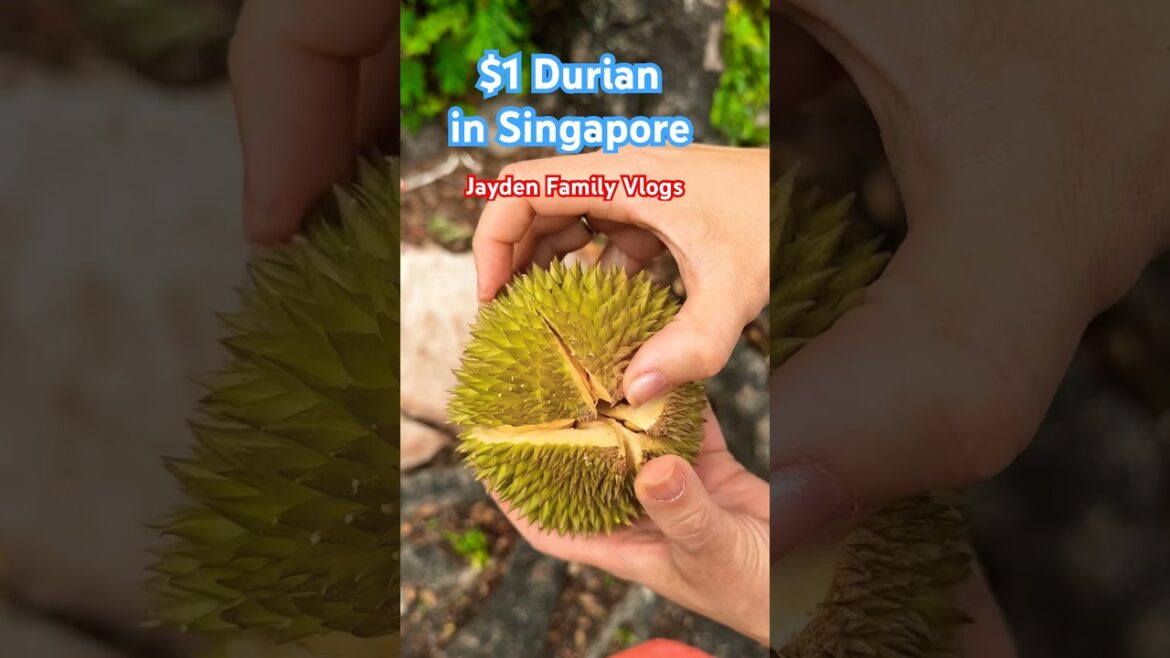 Let’s Try Durian 😋😱 #shorts #satisfying #fruit #fruitcutting #yummy #tasty #garden Let’s Try Durian 😋😱 #shorts #satisfying #fruit #fruitcutting #yummy #tasty #garden