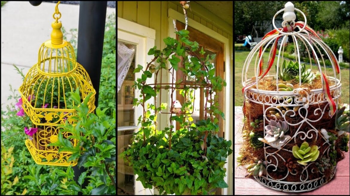 Birdcage Planter Ideas || DIY Bird Cage Planter || Hanging Planter