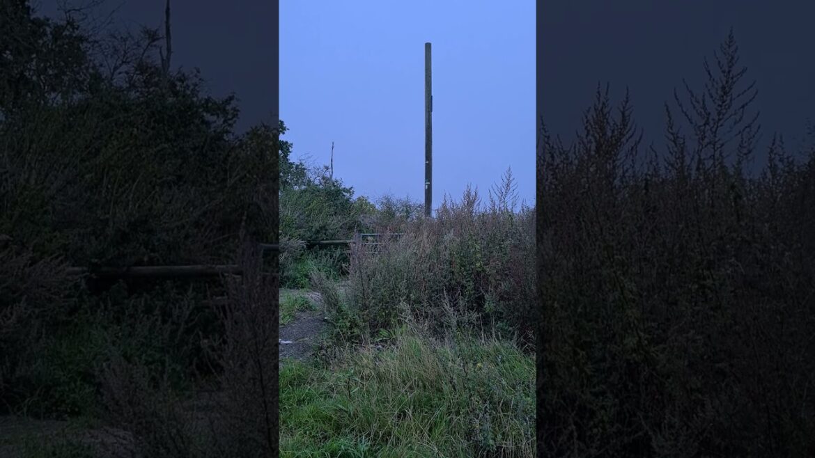 Veggie Gardener 1st September 2023 06:16 @veggiegardener Veggie Gardener 1st September 2023 06:16 @veggiegardener