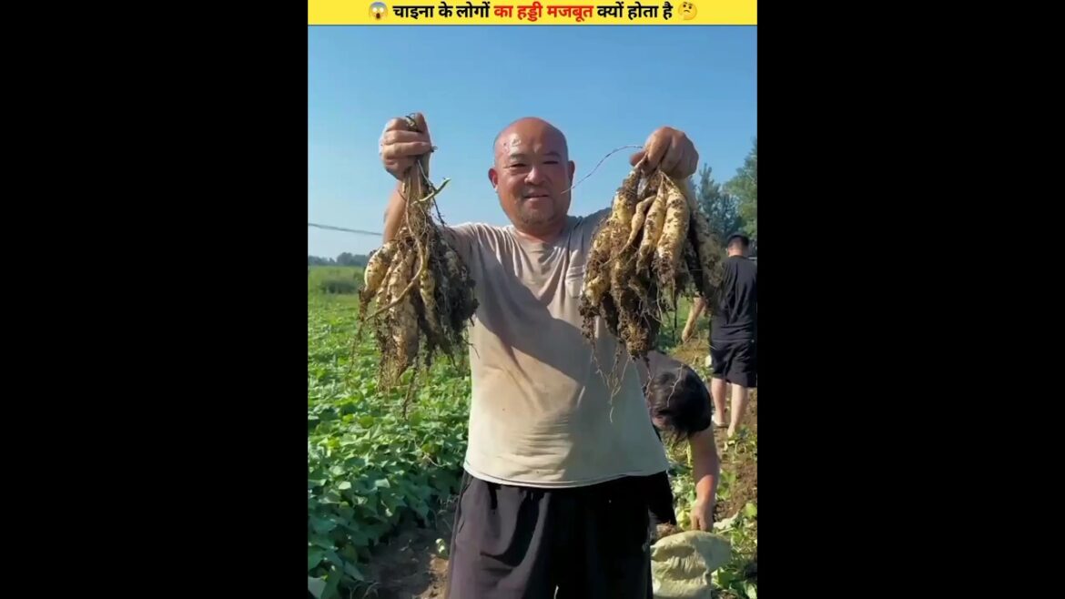🤷 चाइना के लोगों का हड्डी मजबूत क्यों होता है 🤓 #shorts #shortvideo @RK_Khan_Facts