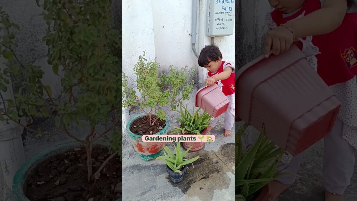 Cute baby 🏡gardening 🌱plants | Dhyana Variya #cute #plants #gardening #dailyvlog #viral #shorts #DIY Cute baby 🏡gardening 🌱plants | Dhyana Variya #cute #plants #gardening #dailyvlog #viral #shorts #DIY
