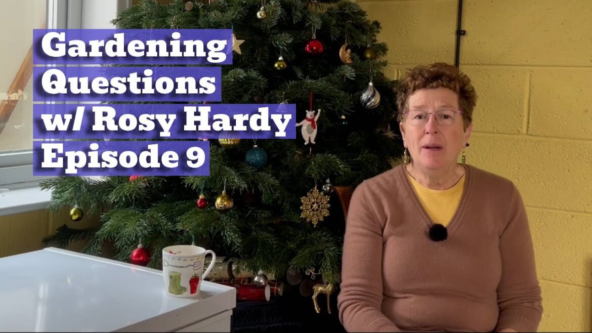 Gardening Questions w/ Rosy Hardy | Episode 9 Gardening Questions w/ Rosy Hardy | Episode 9
