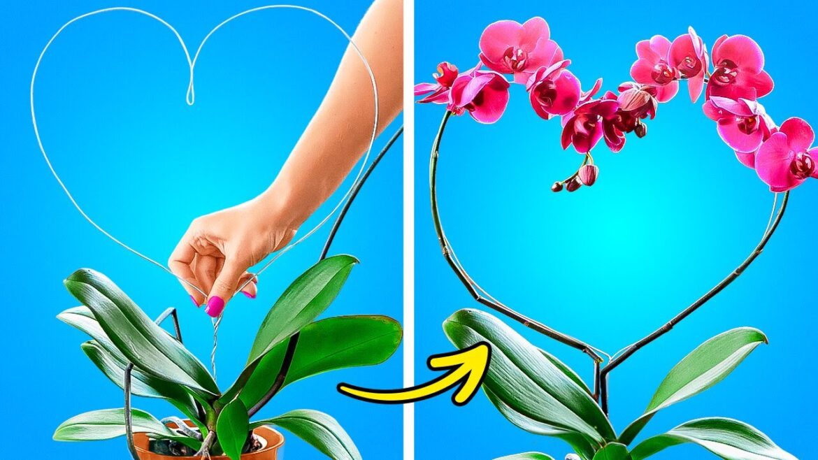 Easy Gardening Tips & Tricks And Cool Hacks For Growing Plants