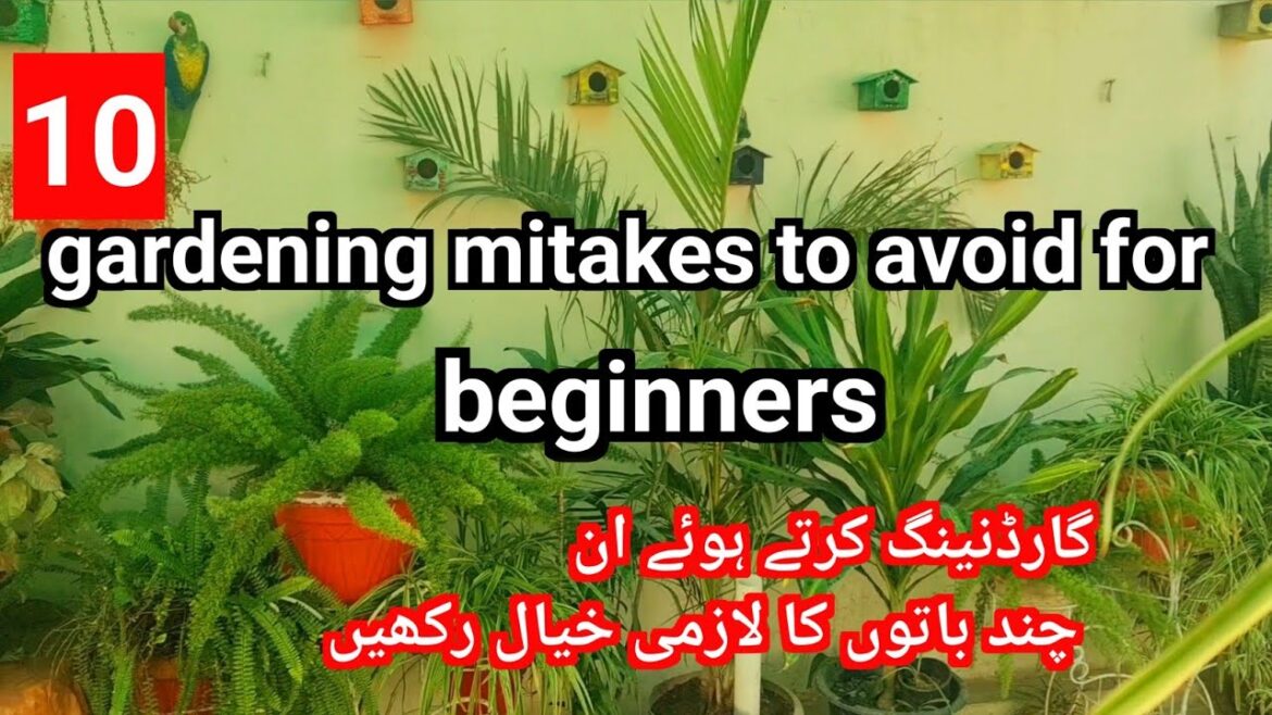 10 Gardening mistakes to avoid|Best gardening tips for beginners|common gardening mistakes! 10 Gardening mistakes to avoid|Best gardening tips for beginners|common gardening mistakes!