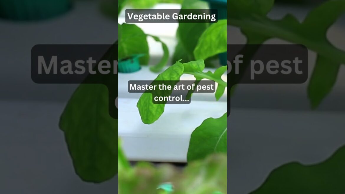 #26 Vegetable Gardening #26 Vegetable Gardening