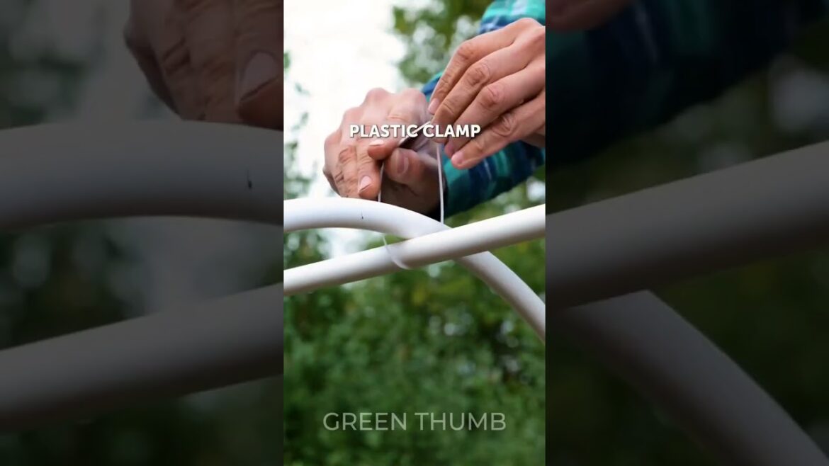 💦 Gardening made easy: Simple hack to save time and money 🌿 #shorts #diy #gardening #gardens