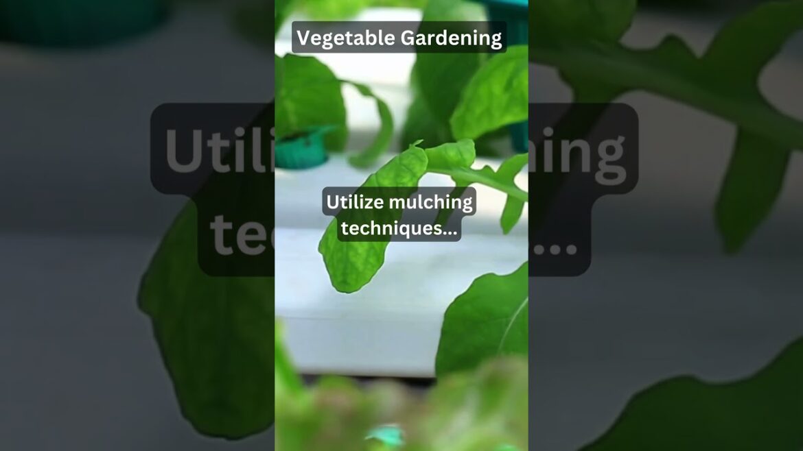 #26 Vegetable Gardening #26 Vegetable Gardening