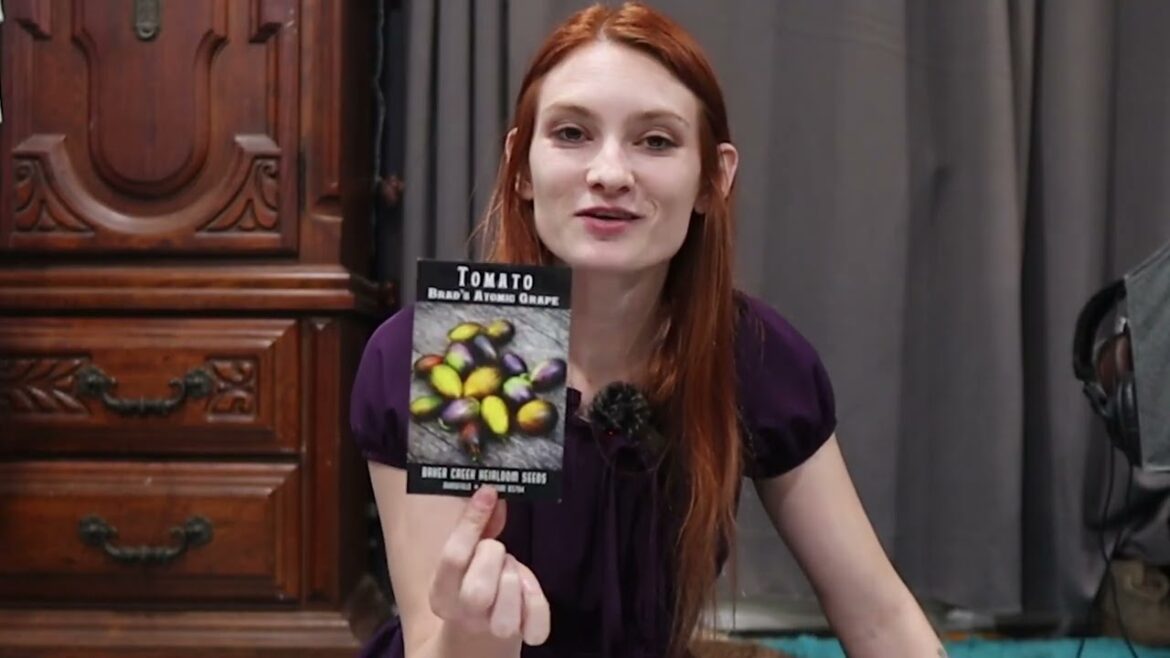 Garden Seed Inventory | How I Start My Garden Planning