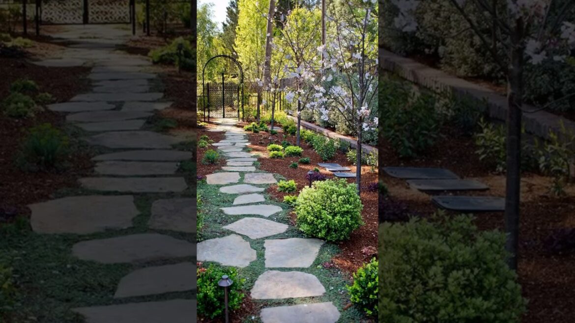 Some ideas for garden #garden