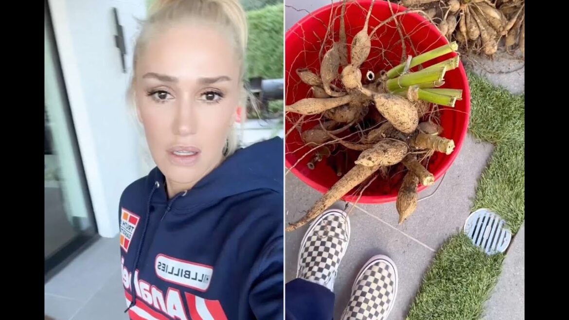 Gwen Stefani's Green Thumb Surprise Gardening with Glam Nails! #gwenstefani #GardeningGlam #trending