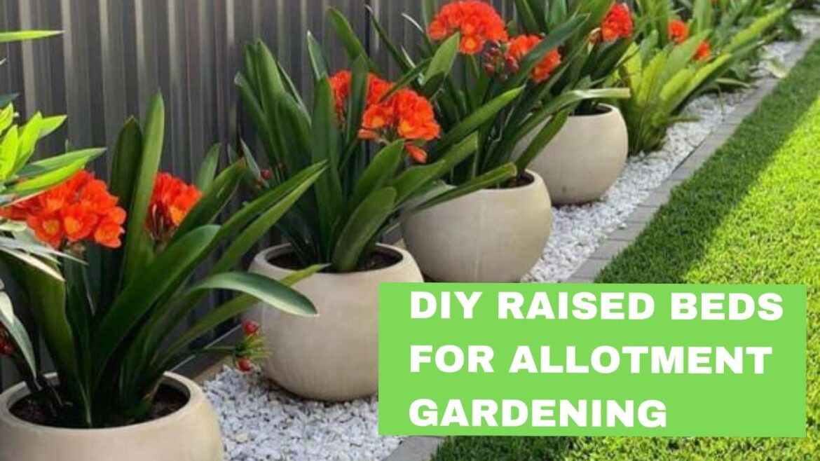DIY Raised Beds for Allotment Gardening | Gardening Tips | Organic Gardening DIY Raised Beds for Allotment Gardening | Gardening Tips | Organic Gardening