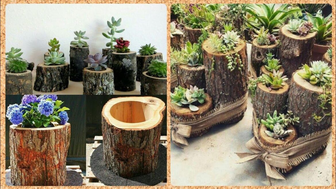 Most Whimsical Garden Wood Log Planter Ideas – plantador de troncos de madera Most Whimsical Garden Wood Log Planter Ideas - plantador de troncos de madera