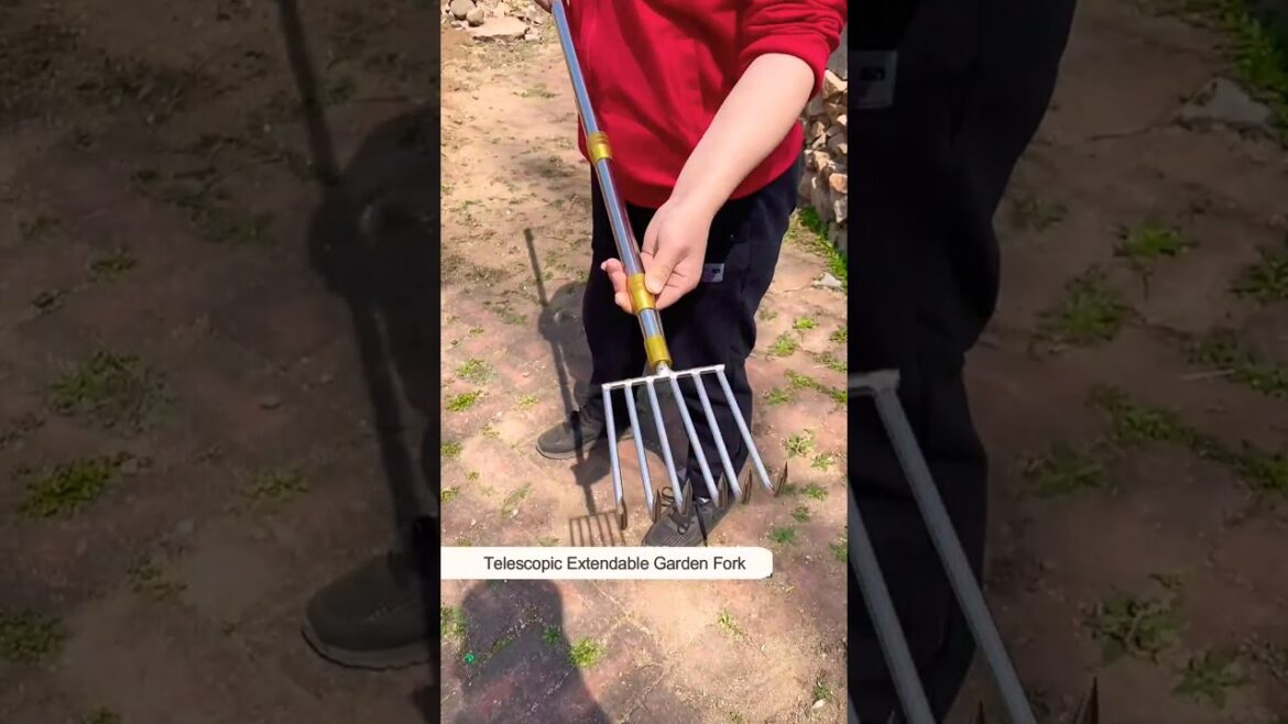 Extendable Six Teeth Garden Rake | Gardening Tools #shorts Extendable Six Teeth Garden Rake | Gardening Tools #shorts