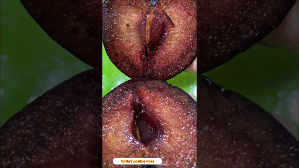 Amazing fruits π π#shorts#viral#kitchengarden #smita Amazing fruits π π#shorts#viral#kitchengarden #smita