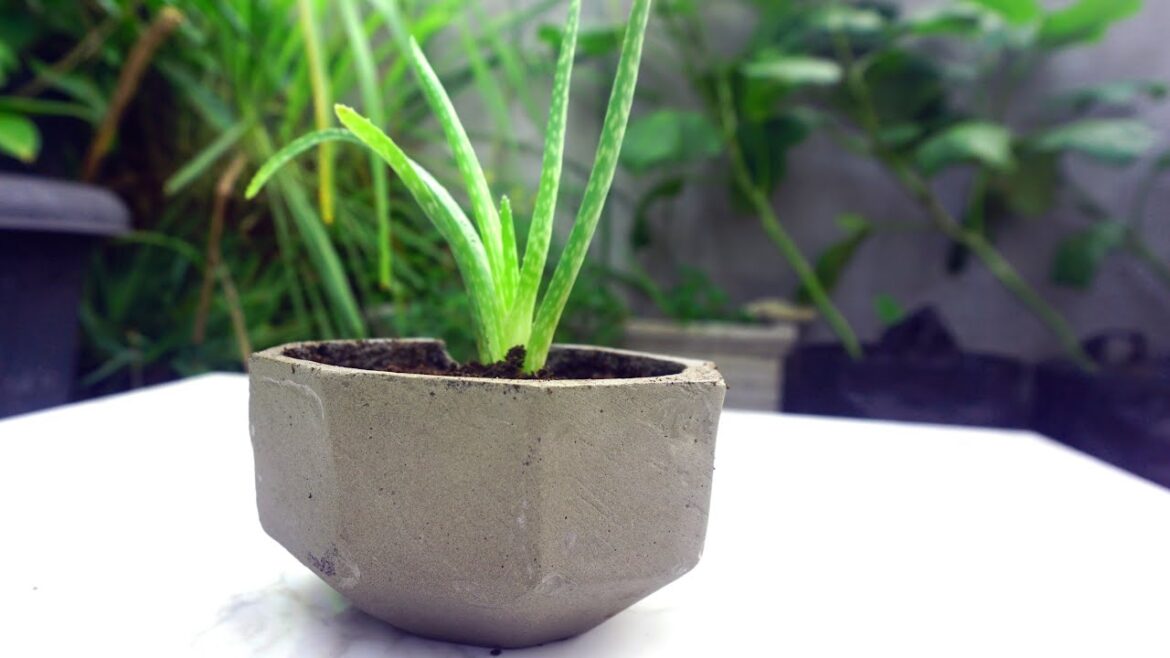 Trying to Make Concrete Pots For Plants Without Molds - Gardening Tips