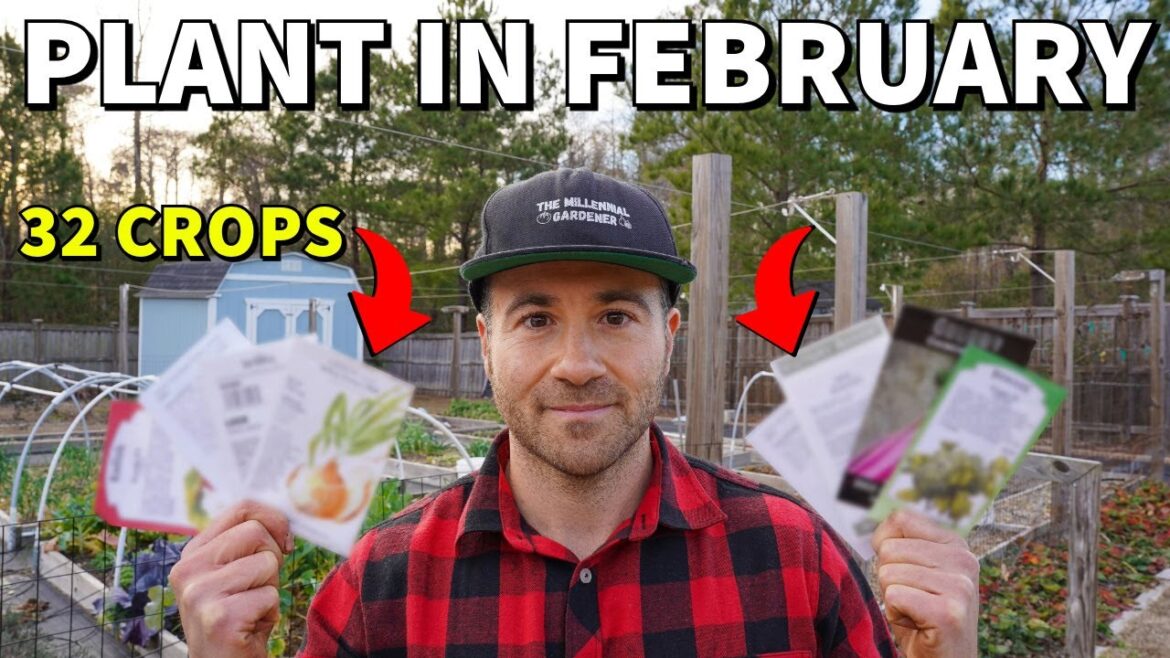 32 Veggies You Can Plant In February RIGHT NOW! 32 Veggies You Can Plant In February RIGHT NOW!