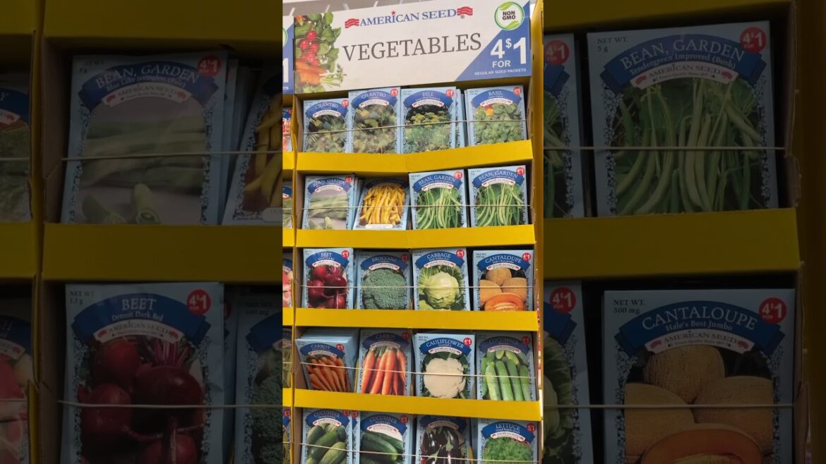 🍅Budget Gardening🌱 GRAB THESE BEFORE THEY SELL OUT! #dollartree #seeds #garden #gardening