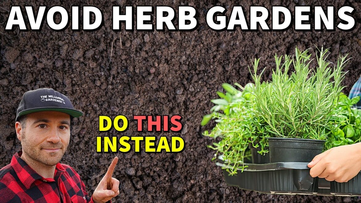 Why Interplanting Herbs Is BETTER Than Growing An Herb Garden Why Interplanting Herbs Is BETTER Than Growing An Herb Garden