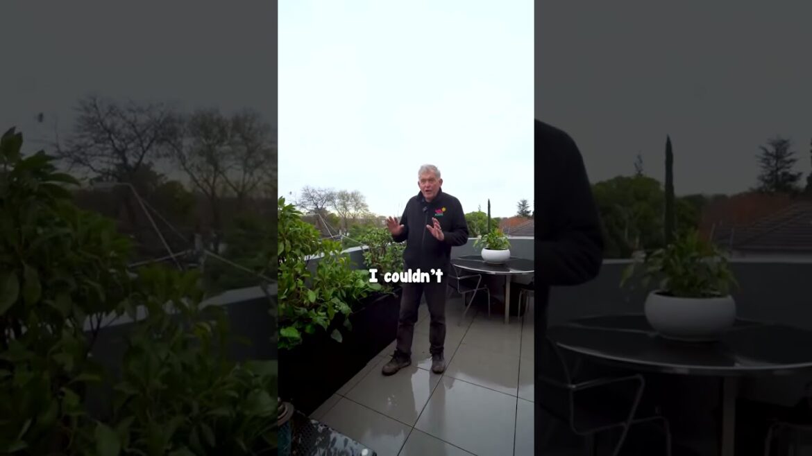 Captivate your garden with a stunning garden design from Chris!🌷🌼 Claim Your FREE Garden Design Captivate your garden with a stunning garden design from Chris!🌷🌼 Claim Your FREE Garden Design