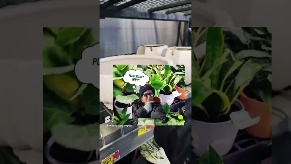 What a Gardener Does in Winter  #shorts #garden #winter