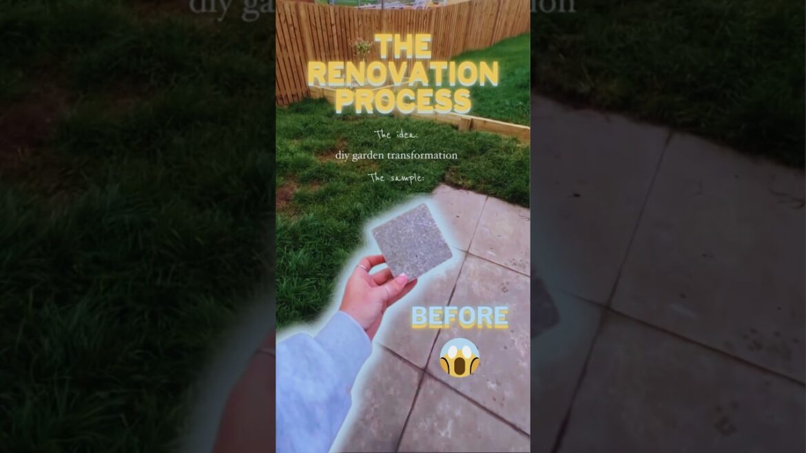 DIY Garden Transformation (Process of Home improvement) #shorts #diy #garden