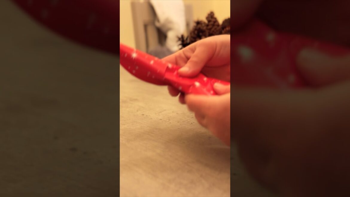 December Bonsai Care: Seaaonal Gifts #bonsai #bonsaitrees #bonsaicare December Bonsai Care: Seaaonal Gifts #bonsai #bonsaitrees #bonsaicare